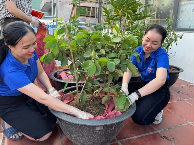 TẾT TRỒNG CÂY